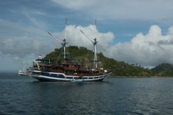 IMG_2999 (FILEminimizer)