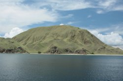 IMG_3009 (FILEminimizer)