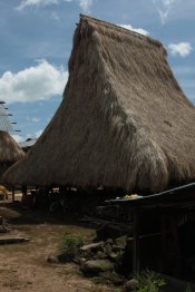 IMG_3156 (FILEminimizer)