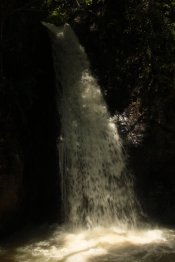 IMG_3175 (FILEminimizer)