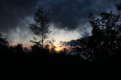 IMG_3183 (FILEminimizer)