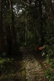 IMG_3302 (FILEminimizer)