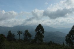 IMG_3321 (FILEminimizer)