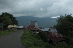 IMG_3330 (FILEminimizer)