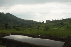 IMG_3333 (FILEminimizer)