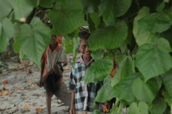 IMG_3352 (FILEminimizer)