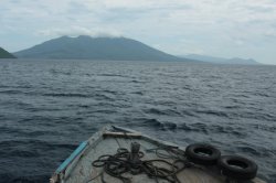 IMG_3418 (FILEminimizer)