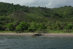 IMG_3445 (FILEminimizer)