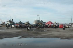 IMG_3478 (FILEminimizer)