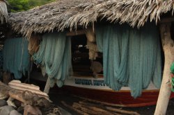 IMG_3522 (FILEminimizer)