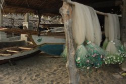 IMG_3524 (FILEminimizer)