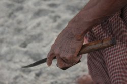 IMG_3538 (FILEminimizer)