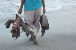 IMG_3545 (FILEminimizer)