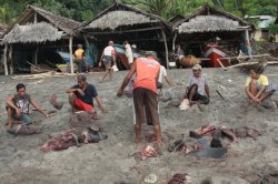 IMG_3692 (FILEminimizer)