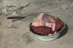 IMG_3698 (FILEminimizer)