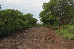 IMG_3721 (FILEminimizer)