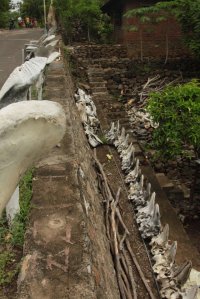 IMG_3772 (FILEminimizer)