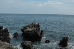 IMG_3791 (FILEminimizer)