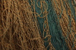 IMG_3825 (FILEminimizer)