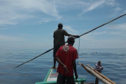 IMG_3881 (FILEminimizer)