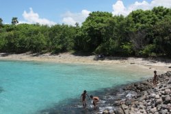 IMG_3991 (FILEminimizer)