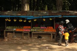 IMG_4072 (FILEminimizer)