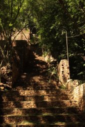 IMG_4167 (FILEminimizer)