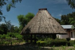 IMG_4181 (FILEminimizer)