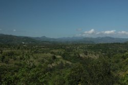 IMG_4195 (FILEminimizer)