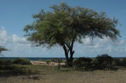 IMG_4236 (FILEminimizer)