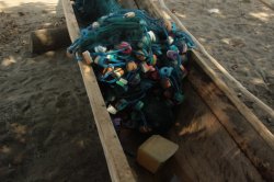 IMG_4372 (FILEminimizer)