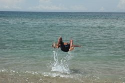 IMG_4386 (FILEminimizer)