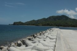 IMG_4406 (FILEminimizer)