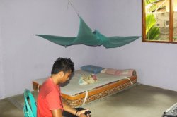 IMG_4446 (FILEminimizer)