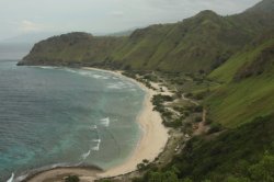 IMG_4481 (FILEminimizer)