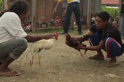 O Começo IMG_4593 (FILEminimizer)