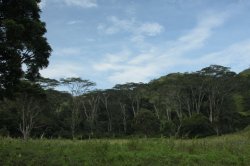 IMG_4748 (FILEminimizer)