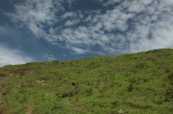 IMG_4791 (FILEminimizer)