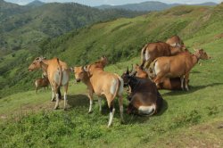 IMG_4797 (FILEminimizer)