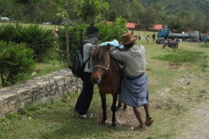 IMG_4824 (FILEminimizer)