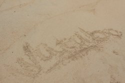 IMG_4931 (FILEminimizer)