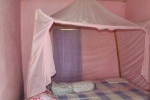 IMG_4953 (FILEminimizer)