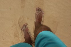 IMG_5013 (FILEminimizer)