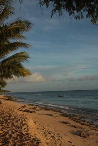 IMG_5089 (FILEminimizer)