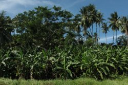 IMG_5137 (FILEminimizer)