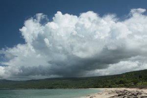 IMG_5158 (FILEminimizer)