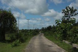 IMG_5182 (FILEminimizer)