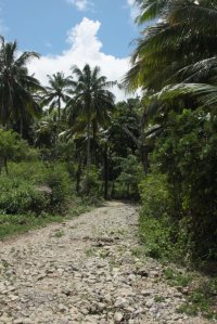 IMG_5195 (FILEminimizer)