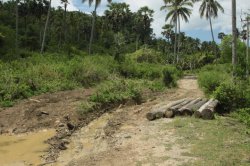 IMG_5197 (FILEminimizer)