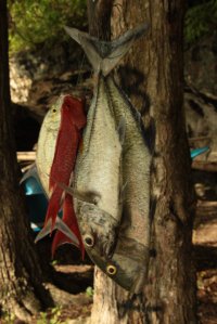 Escolhas IMG_5299 (FILEminimizer)